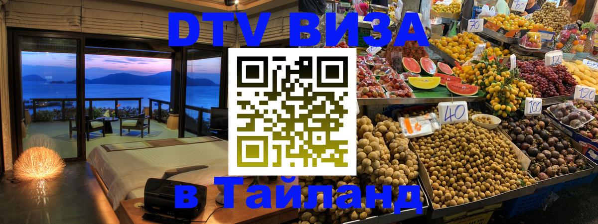 Оформление DTV визы под ключ: стоимость и тарифы, только загранпаспорт - Саратов  20.11.2025 